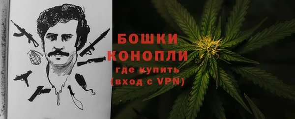 винт Гусев