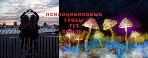 винт Гусев