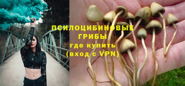 сатива Каменск-Шахтинский