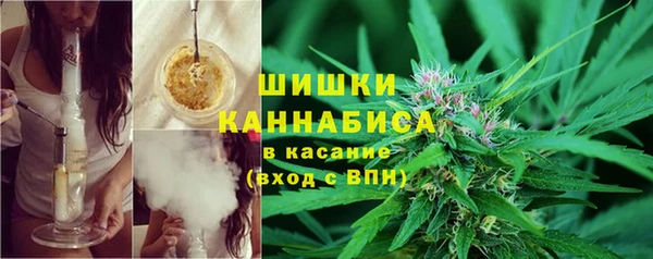 винт Гусев