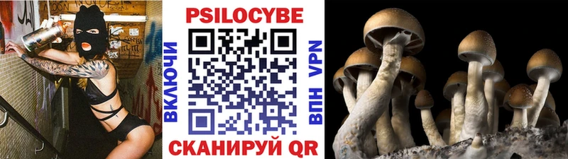 Галлюциногенные грибы мухоморы  Инсар 